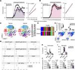 CD45 Antibody in Flow Cytometry (Flow)