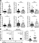 CD326 (EpCAM) Antibody in Flow Cytometry (Flow)