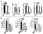 IL-4 Antibody in Flow Cytometry (Flow)