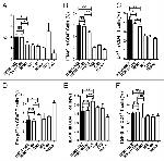 IL-4 Antibody in Flow Cytometry (Flow)