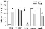 Claudin 4 Antibody in Immunohistochemistry (IHC)