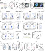 CD4 Antibody in Flow Cytometry (Flow)