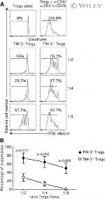 CD127 Antibody in Flow Cytometry (Flow)