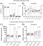 CD45 Antibody in Flow Cytometry (Flow)