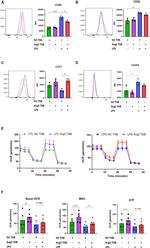 CD86 (B7-2) Antibody in Flow Cytometry (Flow)