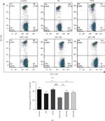 CD3 Monoclonal Antibody (17A2), eFluor™ 450 (48-0032-82)