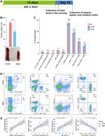 CD4 Antibody in Flow Cytometry (Flow)