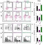 CD5 Antibody in Flow Cytometry (Flow)