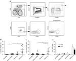 CD45RA Antibody in Flow Cytometry (Flow)