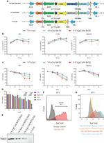 CD326 (EpCAM) Antibody in Flow Cytometry (Flow)