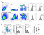 CD96 (TACTILE) Antibody in Flow Cytometry (Flow)