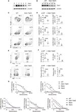 IgD Antibody in Flow Cytometry (Flow)