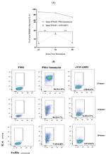 CD117 (c-Kit) Monoclonal Antibody (2B8), PE-Cyanine7, eBioscience™