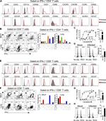 CD197 (CCR7) Antibody in Flow Cytometry (Flow)