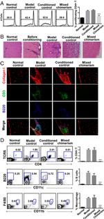 CD45.1 Antibody in Flow Cytometry (Flow)