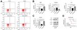 IL-9 Antibody in Flow Cytometry (Flow)