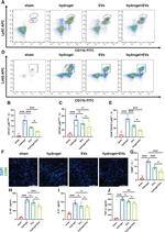 CD11b Antibody in Flow Cytometry (Flow)