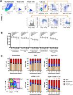 CD27 Antibody in Flow Cytometry (Flow)