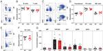 CD93 (AA4.1) Antibody in Flow Cytometry (Flow)