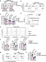 HIF-2 alpha Antibody in Flow Cytometry (Flow)