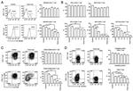 IFN gamma Antibody in Flow Cytometry (Flow)