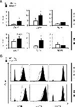 CD115 (c-fms) Antibody in Flow Cytometry (Flow)