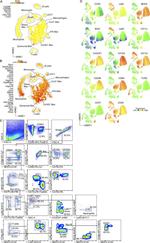 CD163 Antibody in Flow Cytometry (Flow)