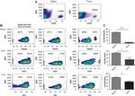 CD27 Antibody in Flow Cytometry (Flow)