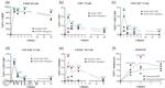 CD20 Antibody in Flow Cytometry (Flow)