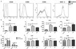 CD40 Antibody in Flow Cytometry (Flow)