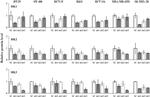 HK3 Antibody