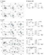 CD335 (NKp46) Monoclonal Antibody (29A1.4), eFluor™ 450 (48