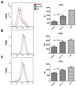 CD80 (B7-1) Antibody in Flow Cytometry (Flow)