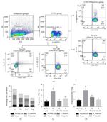 IL-4 Antibody in Flow Cytometry (Flow)