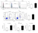 CD115 (c-fms) Antibody in Flow Cytometry (Flow)