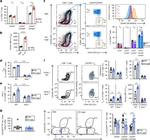 CD49d (Integrin alpha 4) Antibody in Flow Cytometry (Flow)