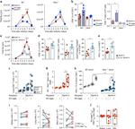 CD49d (Integrin alpha 4) Antibody in Flow Cytometry (Flow)