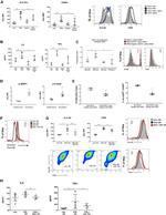 Phospho-4EBP1 (Thr36, Thr45) Antibody in Flow Cytometry (Flow)