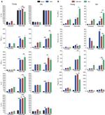 IL-21 Antibody in Flow Cytometry (Flow)