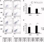 CD41a Antibody in Flow Cytometry (Flow)