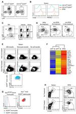 CD45.1 Antibody in Flow Cytometry (Flow)