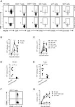 CD335 (NKp46) Antibody in Flow Cytometry (Flow)