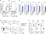 CD40 Antibody in Flow Cytometry (Flow)