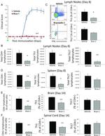 CD4 Antibody in Flow Cytometry (Flow)