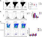 CD5 Antibody in Flow Cytometry (Flow)