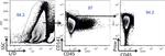 CD141 Antibody in Flow Cytometry (Flow)