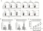 CD4 Antibody in Flow Cytometry (Flow)