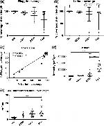 S100A9 Antibody in Immunohistochemistry (IHC)