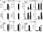 IL-1 beta Antibody in ELISA (ELISA)