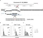 CD4 Antibody in Flow Cytometry (Flow)